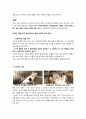 영상 기호학 레포트_우리들의 행복한 시간 15페이지