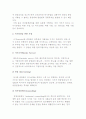 인적자원전략-HRM전략 3페이지