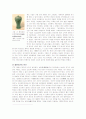인류의 도자기역사(2) 200323104 재료공학부 2페이지