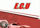 엔진제어유닛(engine control unit ECU)조사 1페이지