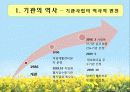 [기관분석보고서] 서울시남부장애인종합복지관 4페이지
