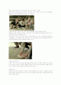 인상깊은 광고물 2페이지