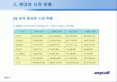 [국제마케팅론]한국 기업사례 조사 - 삼성 애니콜 중국시장 마케팅전략 5페이지