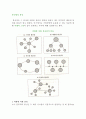 통신망의 분류 2페이지