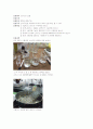 실험제목 닌히드린 실험 2페이지