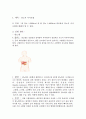 식사요법 및 실습보고서 당뇨식 2페이지