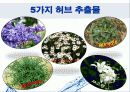클렌징 워터(Cleansing Water)에 대해서 8페이지
