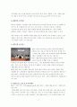 한국 기업과 외국계 기업의 조직 문화 비교 7S 모형을 통한 조직 문화 분석 18페이지
