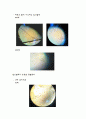 현미경 사용법 5페이지