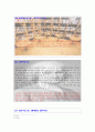 다시쓰는 역사 , 그 지식의 즐거움 (세종대학교 이상현 교수 저) 17페이지