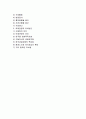 외래관광의 개념과 효과, 외래관광진흥과 유치방안 2페이지