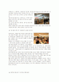 출입국수속절차과정_및tc의_행동요령 7페이지