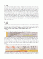 한국프랜차이즈의 문제점 2페이지