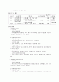 아이 돌보미 사업계획서 2페이지