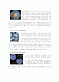 [생물] 동물 바이러스(Animal Virus) ; 동물 바이러스의 특징과 복제 과정 4페이지