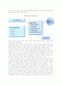 글로벌 경영전략 모델(모형) 9페이지