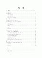켈로그-인도시장실패 2페이지