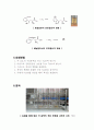 11. 크산토프로테인 시험 2페이지