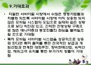 KSSC(Korea Superior Survival Center) 모바일 서바이벌 사업계획서 27페이지