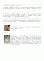 제2편 아기는 과학자로 태어난다 2페이지