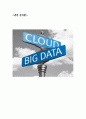 [경영 분석론] 빅 데이터(Big Data) 1페이지