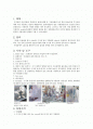 실험보고서(조지방) 2페이지