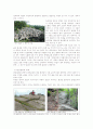 대구 비슬산 - 주 빙하지형과 다양한 화강암 지형들 3페이지