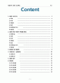태양전지 자동차 프로젝트  2페이지
