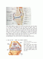 화농성 관절염(pyogenic arthritis) 환자의 치료 및 간호 2페이지