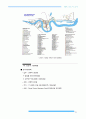 144,영국 밀턴케인즈/도크랜드(Dockland) - 도시재생,도시재생사례,해외도시재생사례,도크랜드,도클랜드,영국도시재생,밀턴케인즈,영국신도시개발,도시개발사례,외국도시개발사례 21페이지