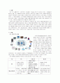 [스마트폰의 문제점] 스마트폰의 개념, 현황, 스마트폰 보급에 따른 정보화의 특징과 스마트폰 보안 사고의 대처방안 2페이지