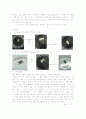 탄산음료가 우리 몸에 얼마나 해를 끼치는가 4페이지