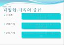 [결혼과 가족] 다문화 가족  5페이지
