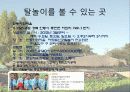 관광학과-우리문화의 이해(탈) 10페이지