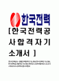 [한국전력공사 대체인력 합격 자기소개서] - 한국전력공사 비젼, 예상 면접 기출문제 1페이지