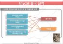 애니콜 & 노키아 (Anycall & Nokia In China) (중국 시장 분석, 중국 전략, 두기업 비교 분석, 성공 요인 분석) .PPT자료 14페이지