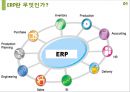 중소기업의 ERP 구축사례와 시사점 3페이지