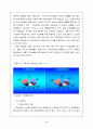 효마을창업계획서 3페이지