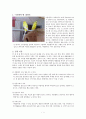 앵무새 기르기 매뉴얼 2페이지