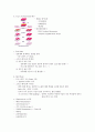 포토리소그래피 실험 2페이지