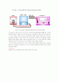슈테판_볼츠만_결과re 9페이지