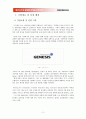제너시스의 글로벌 마케팅 전략 분석  2페이지