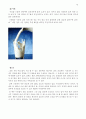 [피부미용학] 천연팩의 종류와 효능 10페이지