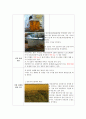 수질실험 - 용존산소량(DO)측정실험(적정법) - 실험 목표, 적용범위, 방법, 원리, 최종 고찰 5페이지