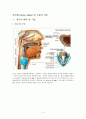 후두암(larynx cancer)수술 2페이지