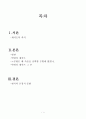박연차 게이트와 한국의 돈 정치 문화  2페이지