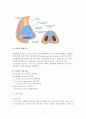 비중격만곡증(Nasal septal deviation)과 수술적 치료 7페이지