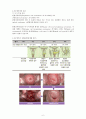 자궁경부암완성 (1) 2페이지