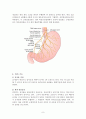 위암(Stomach cancer)과 위절제술(Gastrectomy) 9페이지