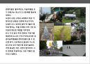 도시이미지와 공공미술에 대한 이해 및 사례분석 17페이지